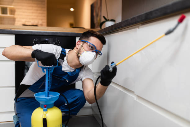 Best Cockroach Control Services  in St Rose, LA