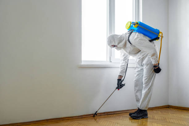 Insect Control in St Rose, LA