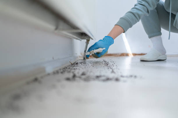 Best Best Pest Control Companies  in St Rose, LA