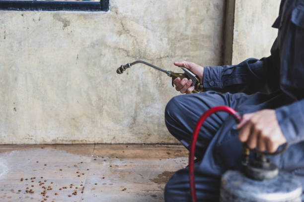 Best Pest Control for Restaurants  in St Rose, LA